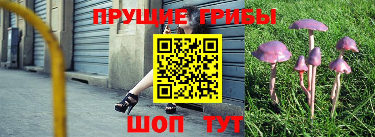 Кемерово  Галлюциногенные грибы Magic Shrooms  Вход с VPN  Галлюциногенные грибы прущие грибы 